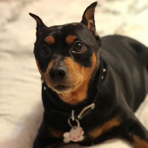 Meet your Posher, Maria